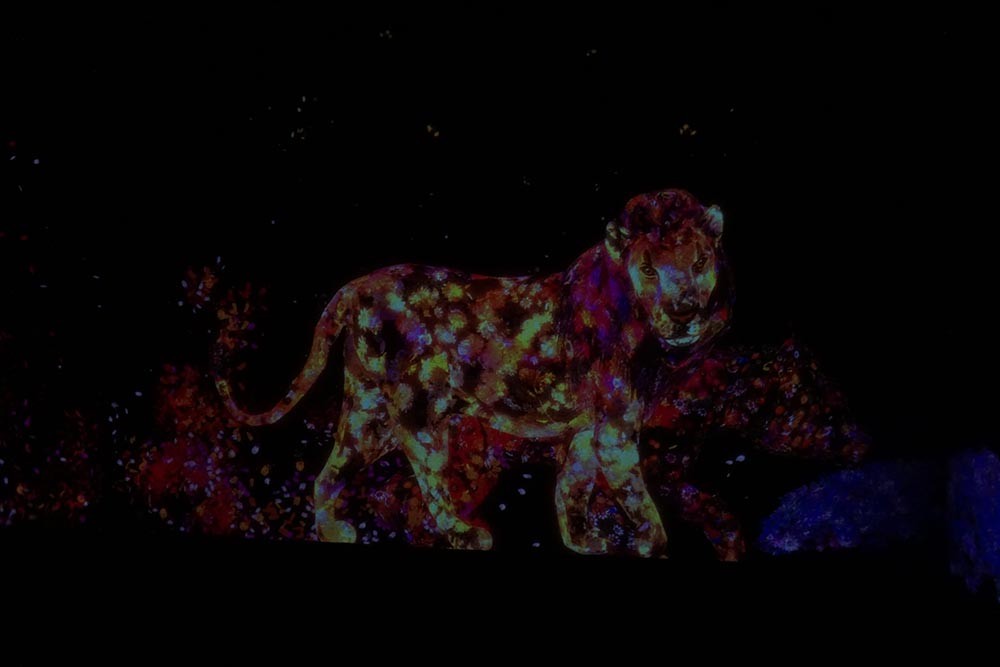 The Unusual Interactive Art