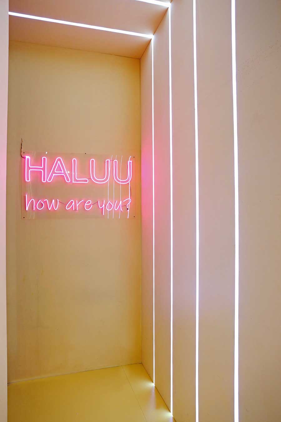 Whimsical Of Selfie Experience